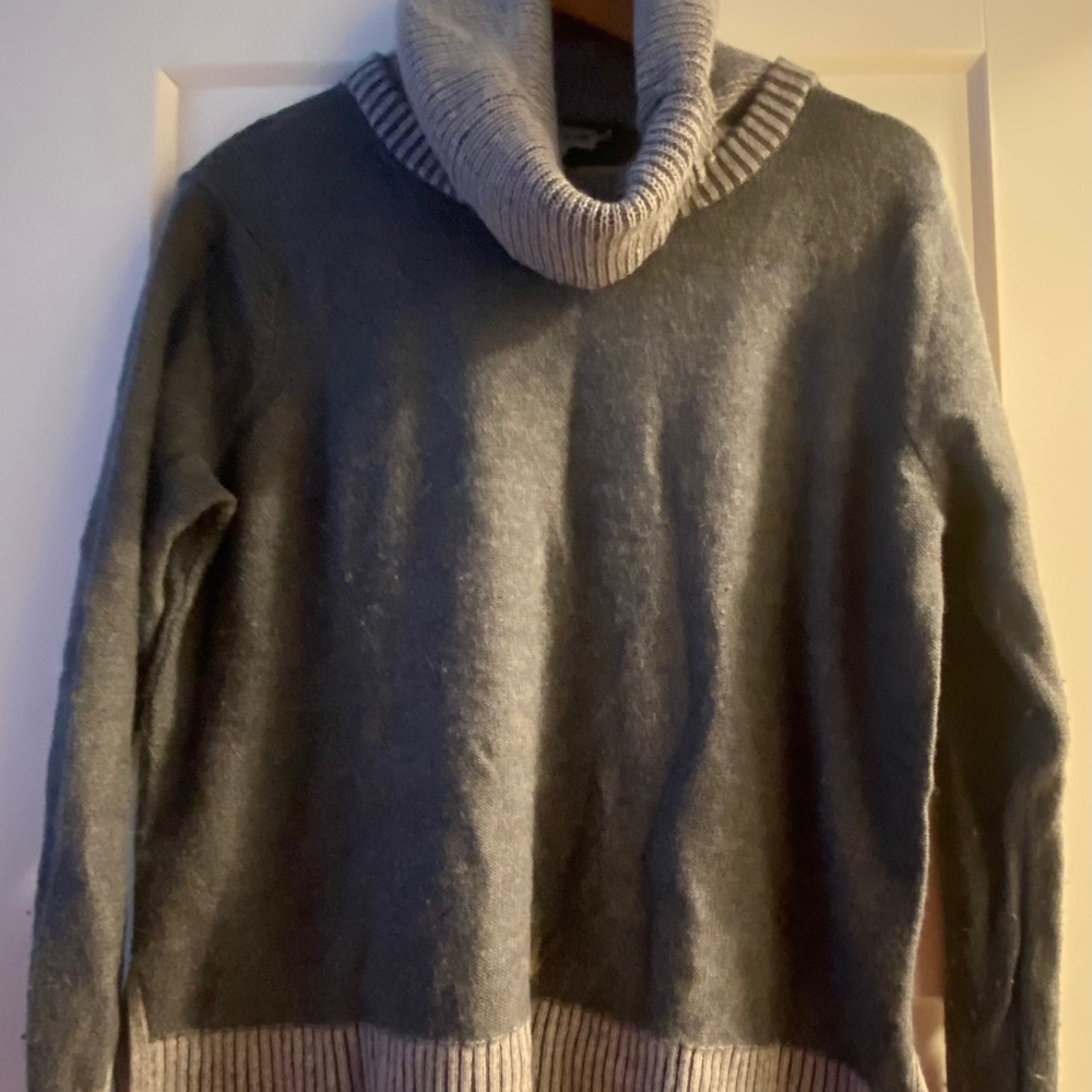 Toad and Co Merino Wool Cowl Neck Sweather